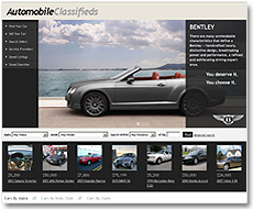 Auto Classified Software